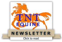 TNT Equine's Newsletter