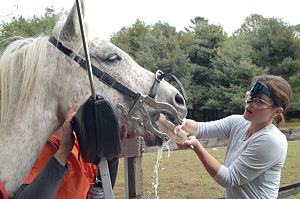 rinsing mouth